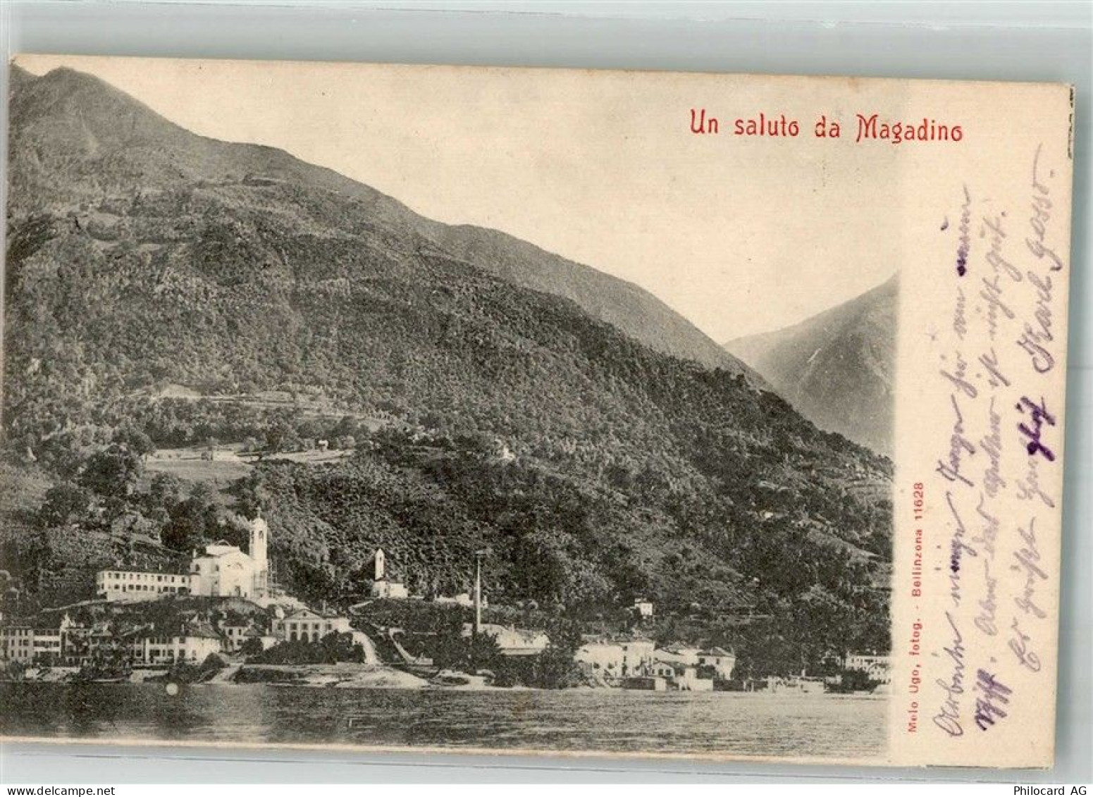 6573 Magadino 1904 Foto AK - 38219165