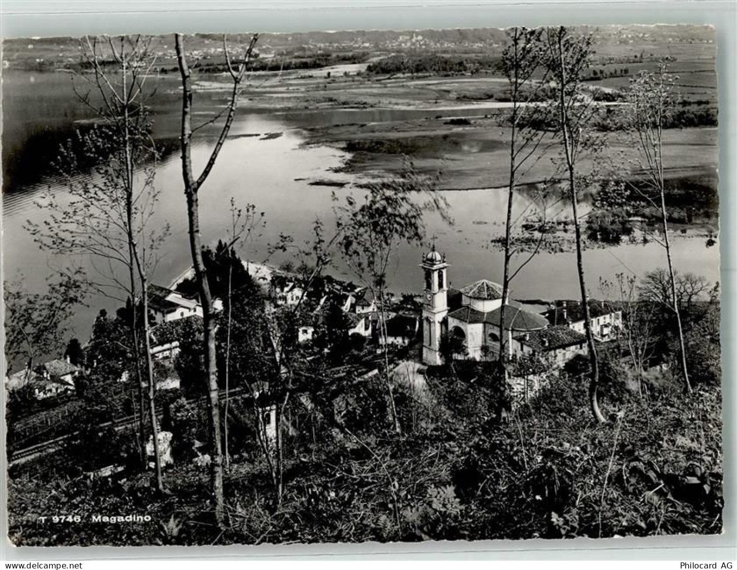 6573 Magadino 1952 Foto AK - 38194882