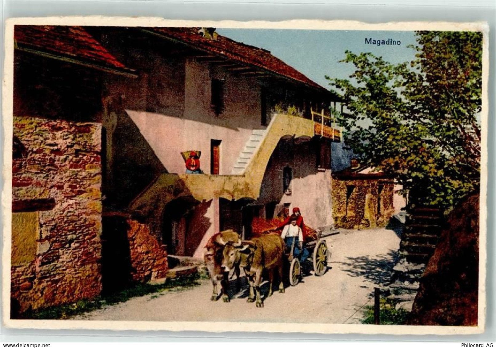 6573 Magadino - Tessinerhaus Kühe am Karren - 10589971