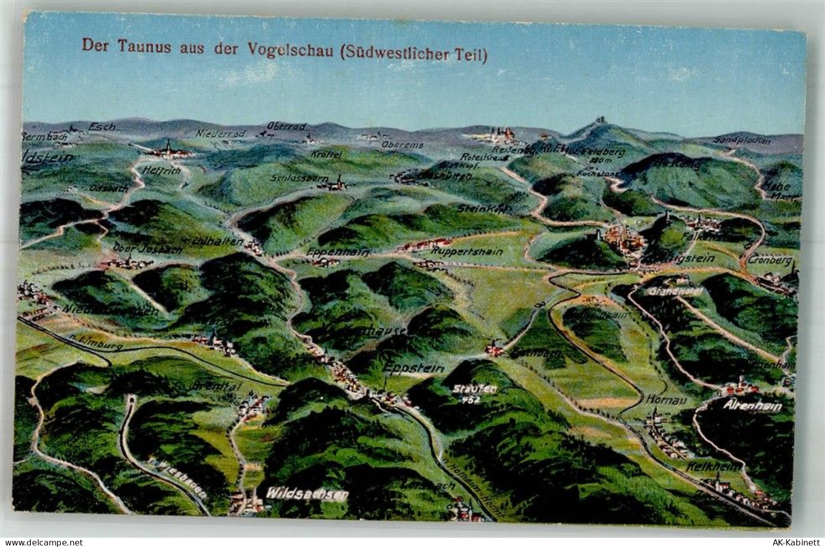 65817 W6239 Eppstein , Taunus Künstlerkarte Vogelschau des Taunus - 38206933