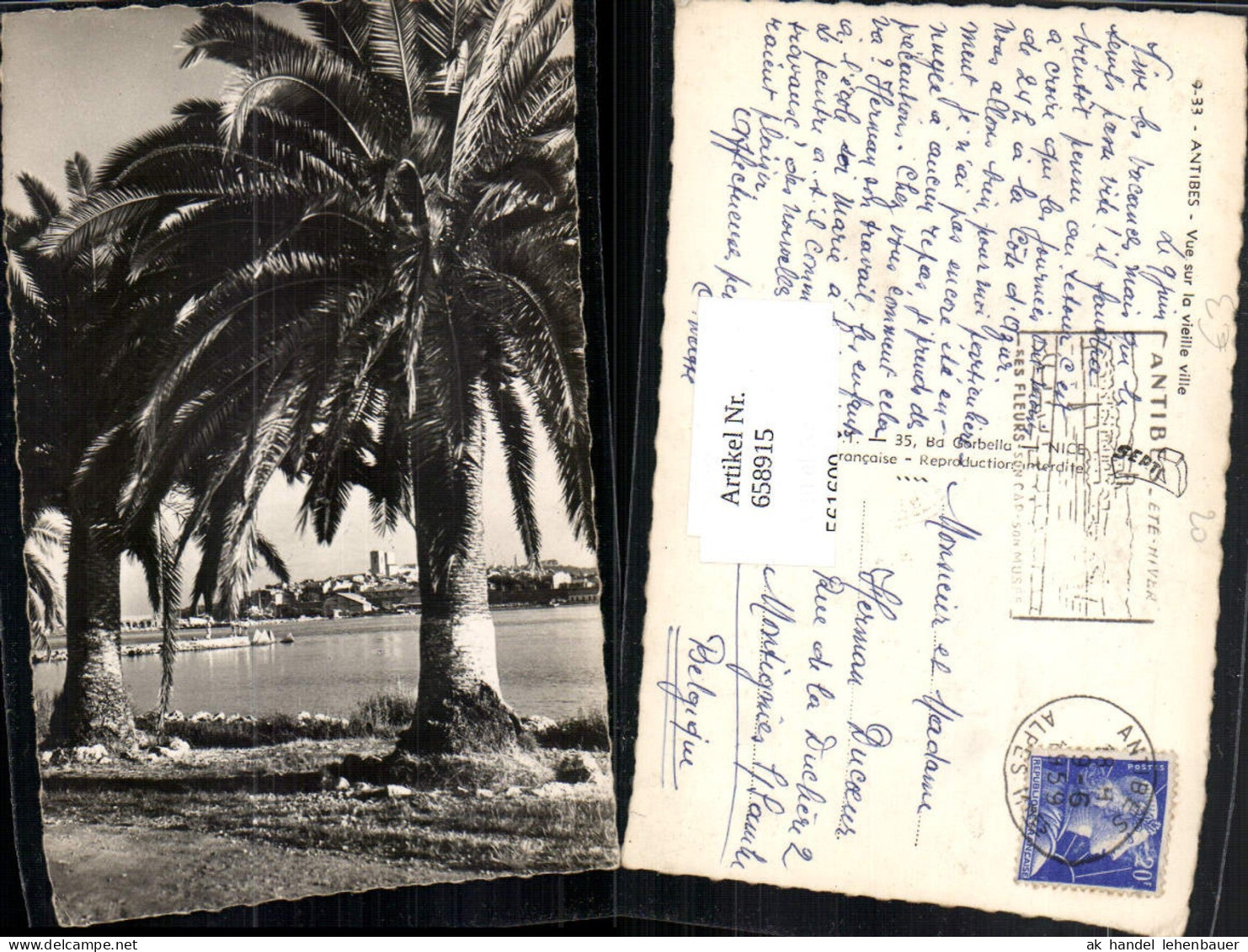 658915,Antibes Vue sur la vieille ville Palme France
