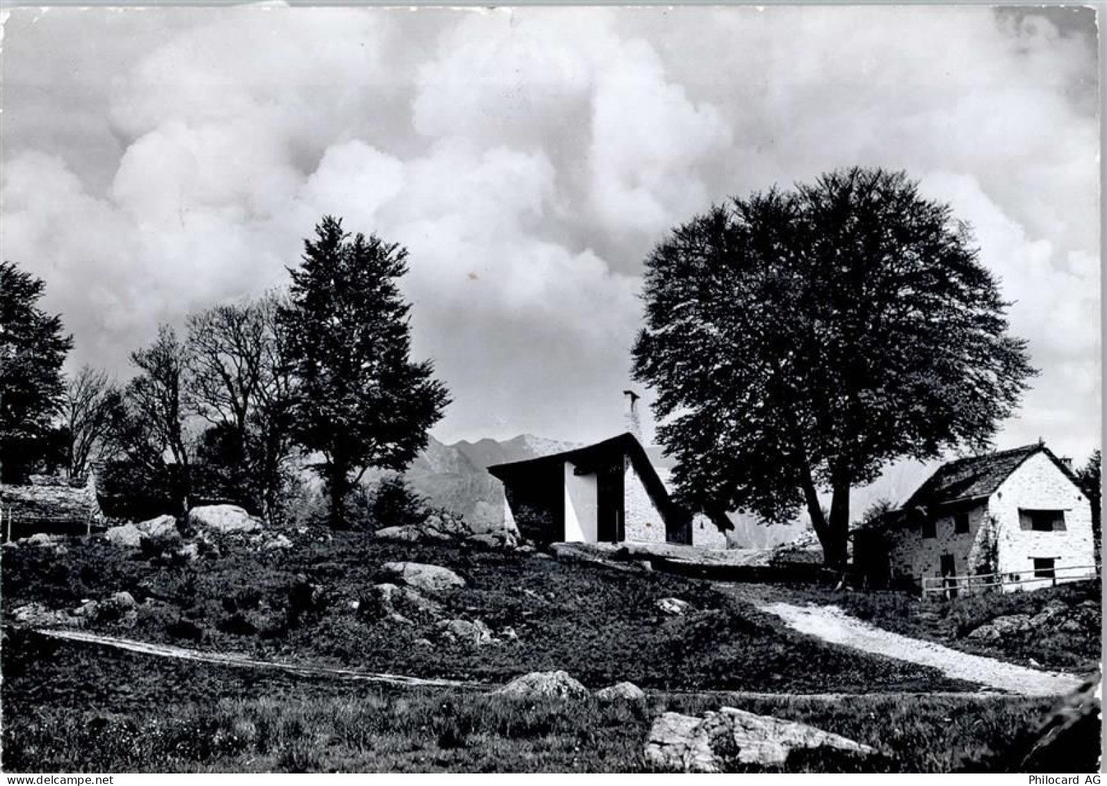 6596 Gordola - 50746410