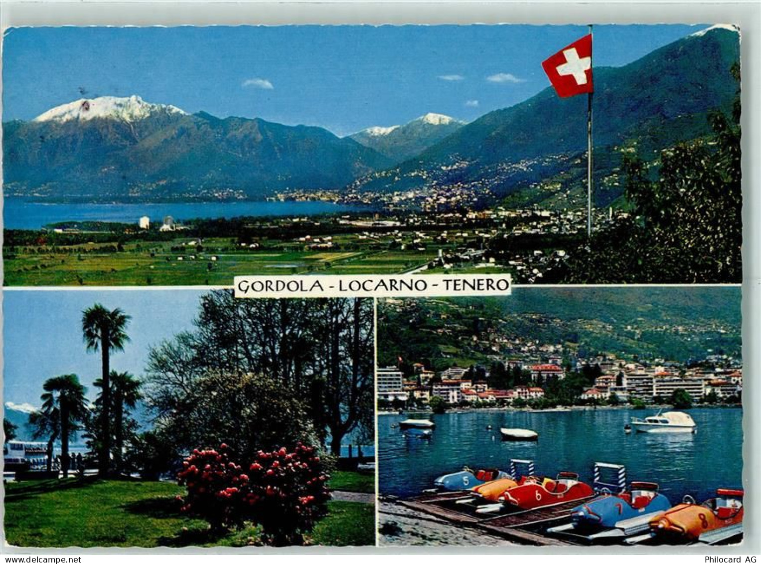 6596 Gordola - Locarno Tenero Wappen - 10281332