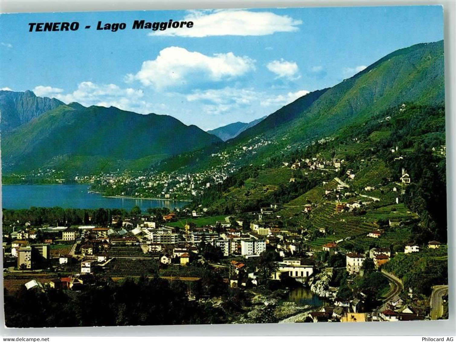 6598 Tenero - 39374057