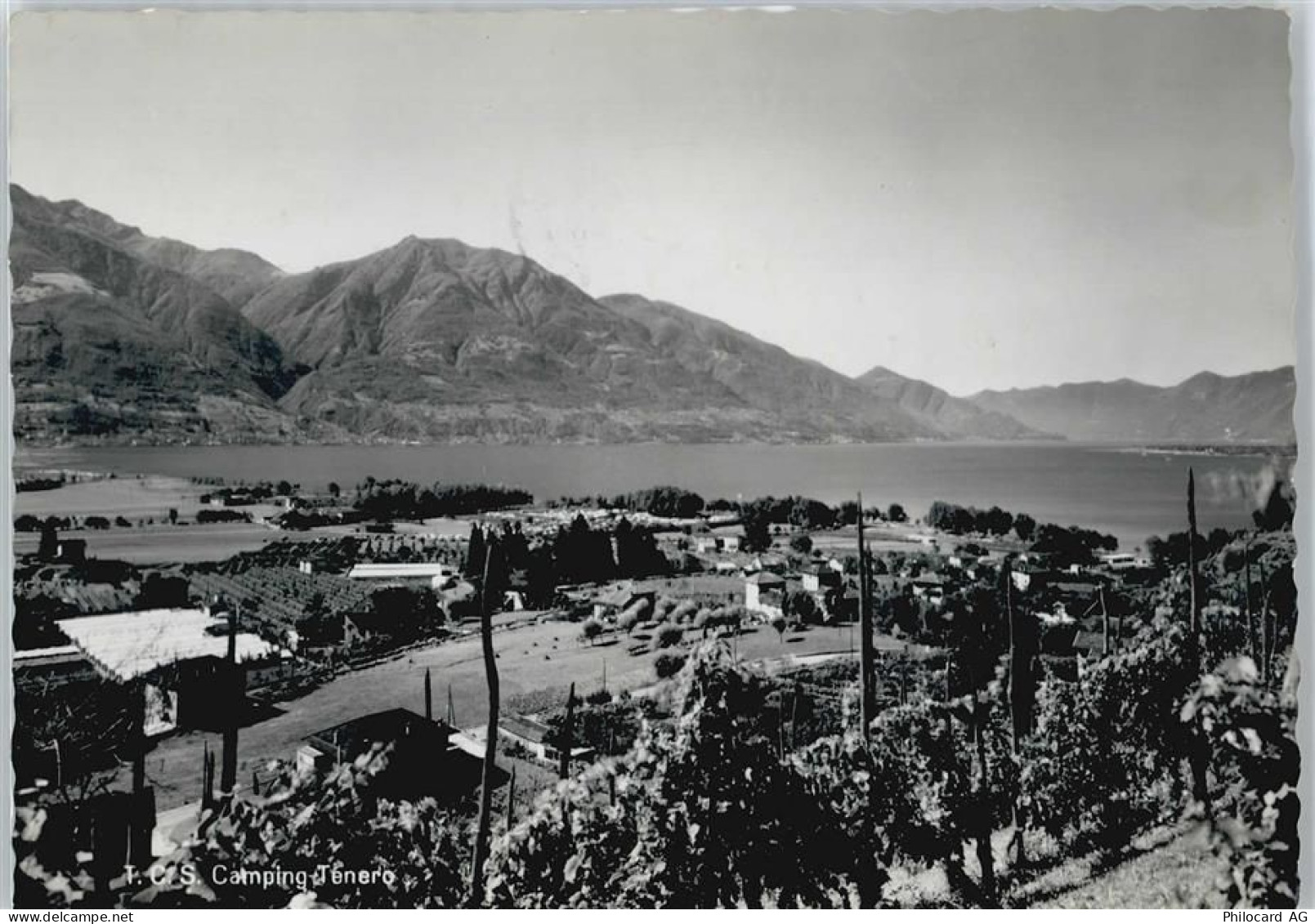 6598 Tenero - Campingplatz, Lago Maggiore - 50678056