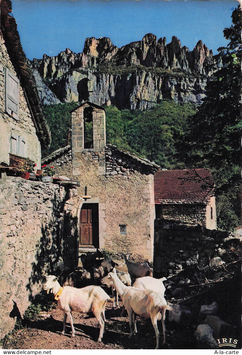 66 AMELIE LES BAINS PALALDA THERMES