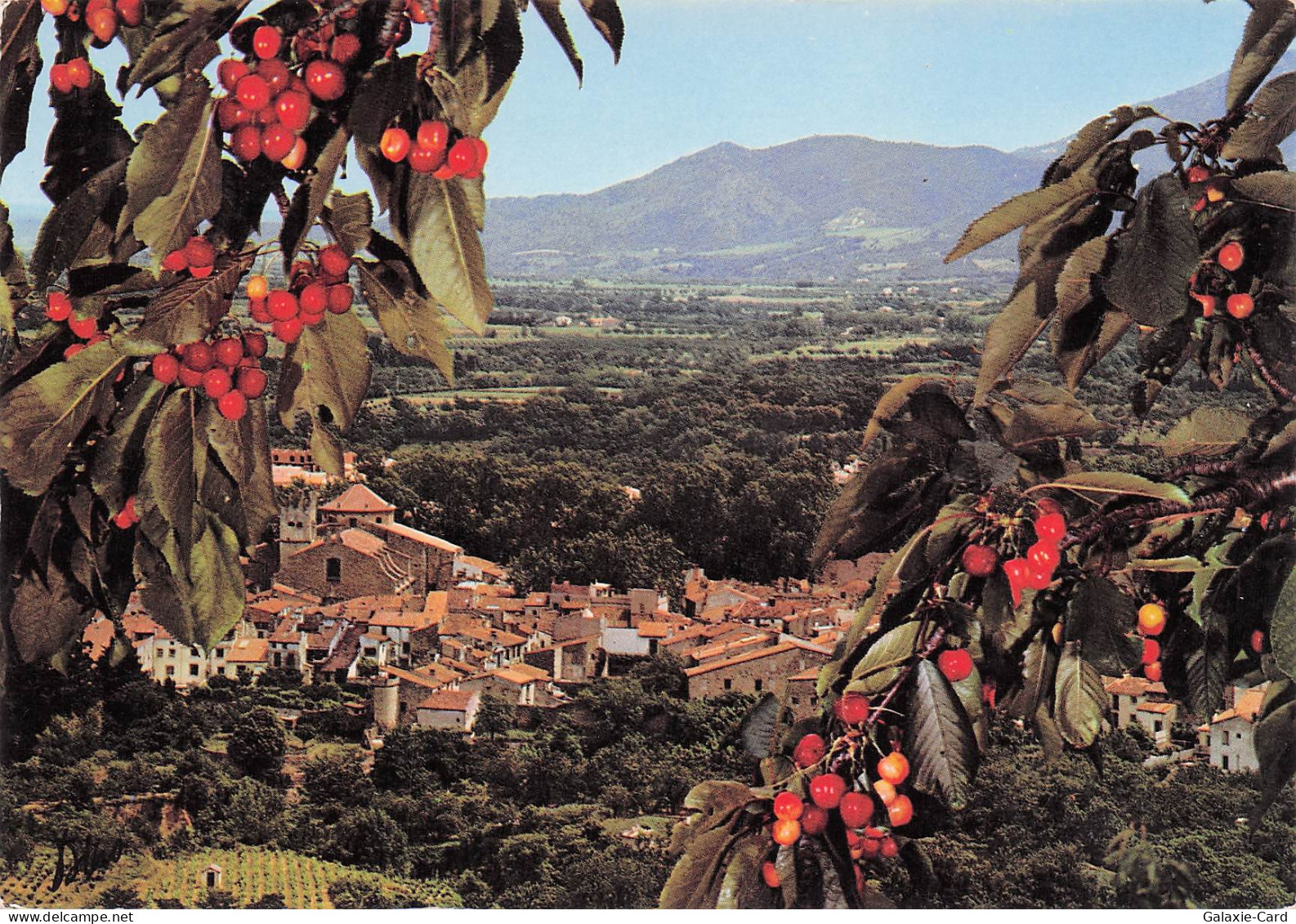 66 AMELIE LES BAINS PALALDA VALLESPIR