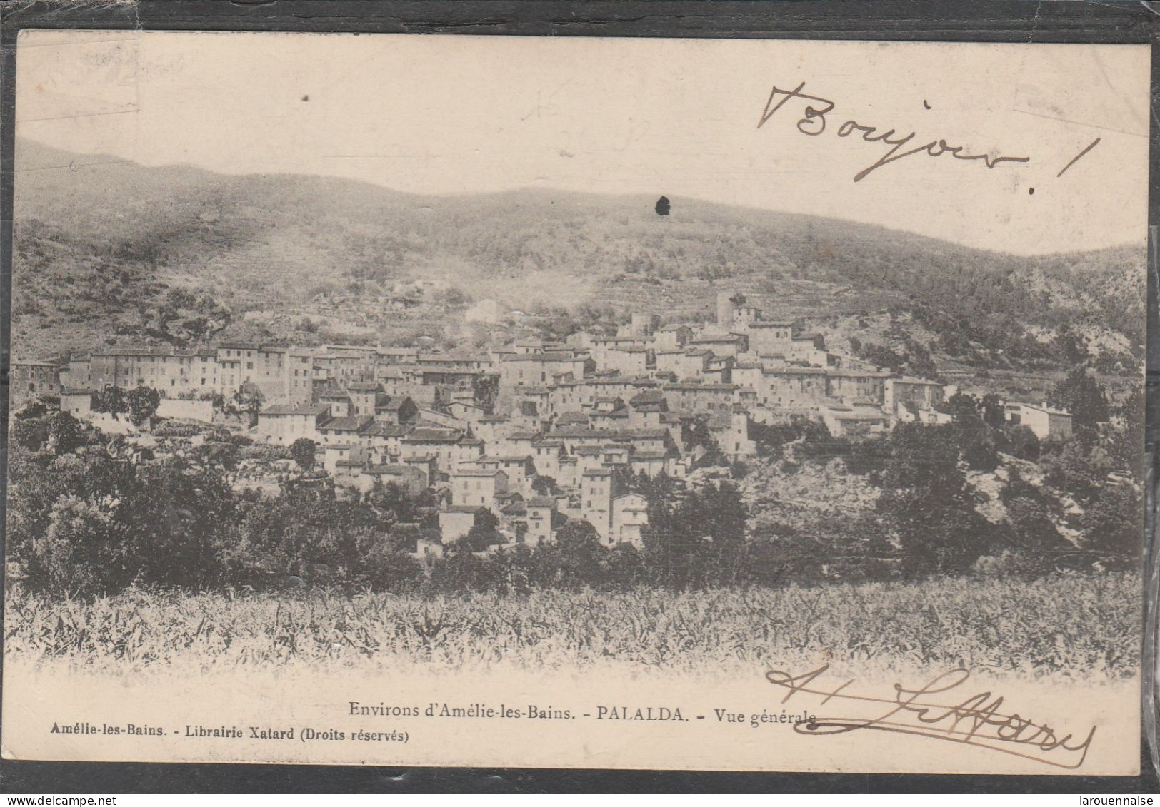 66 - AMELIE LES BAINS - Palalda - Vue générale