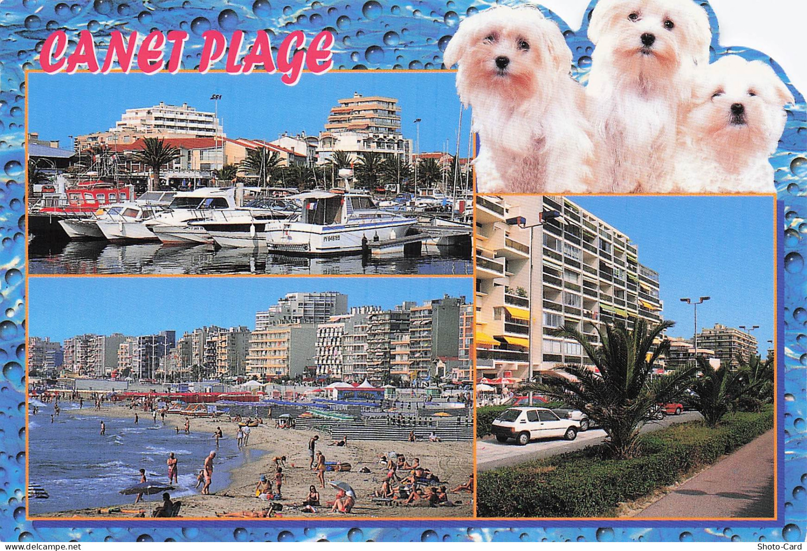 66 CANET EN ROUSSILLON CANET PLAGE