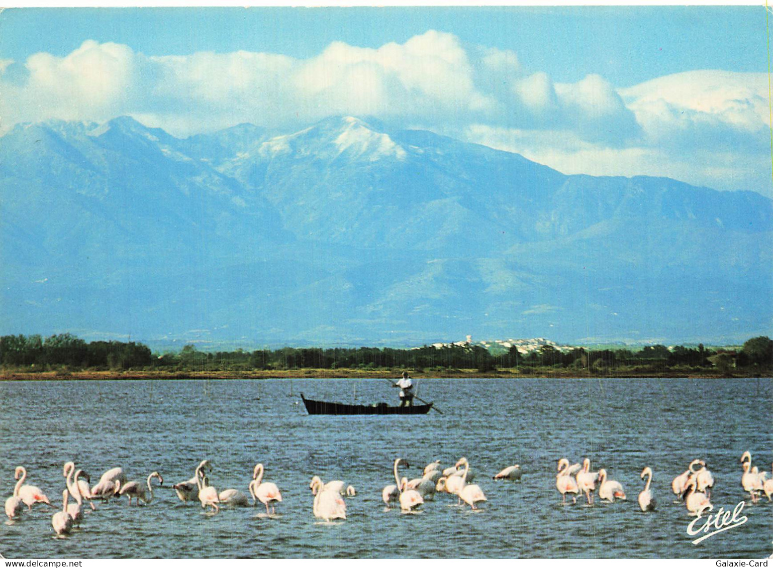 66 CANET EN ROUSSILLON CANET PLAGE