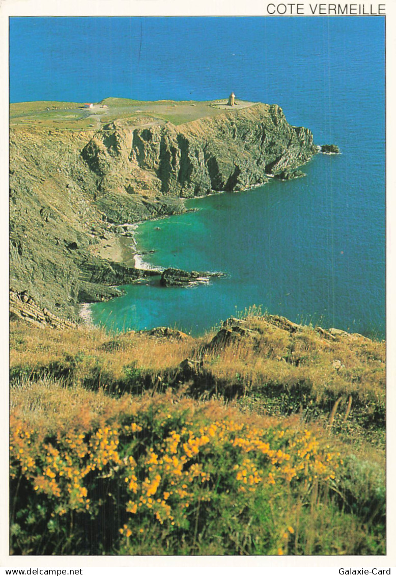 66 CERBERE LE CAP CERBERE