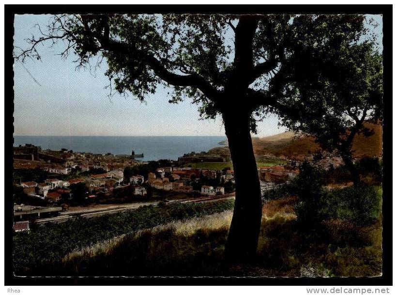 66 Collioure D66D C66053C RH064454
