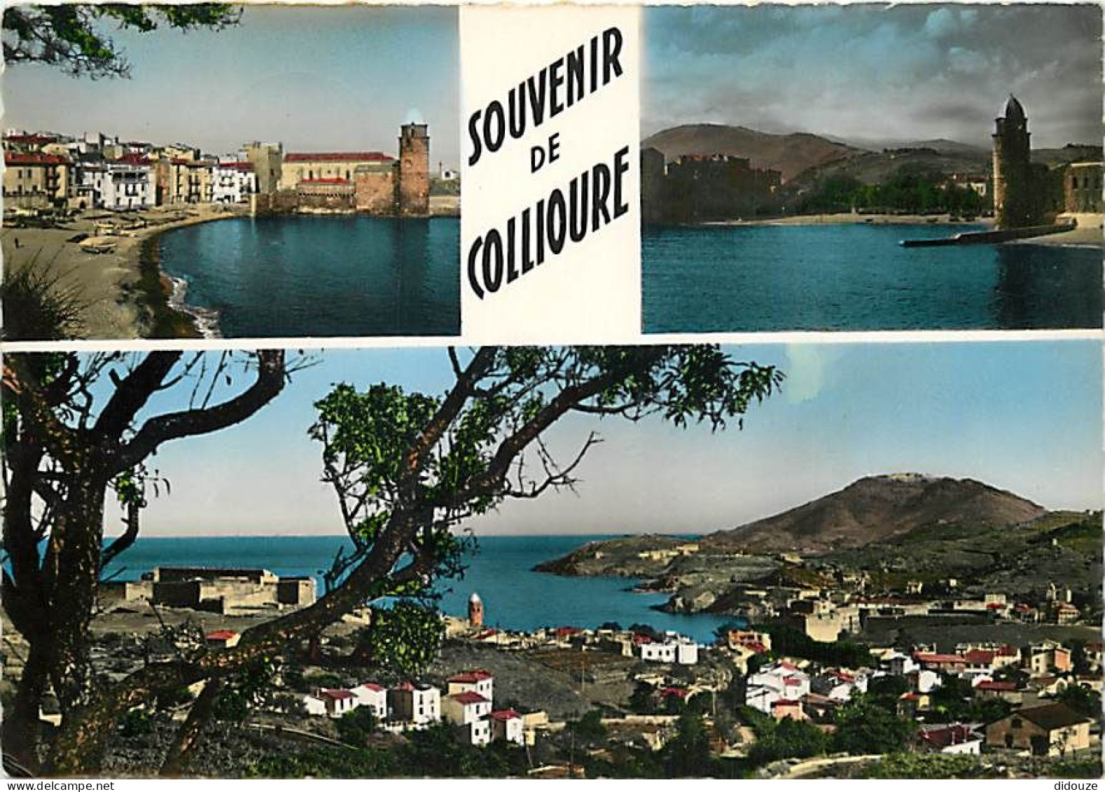 66 - Collioure - Multivues - CPM - Voir Scans Recto-Verso