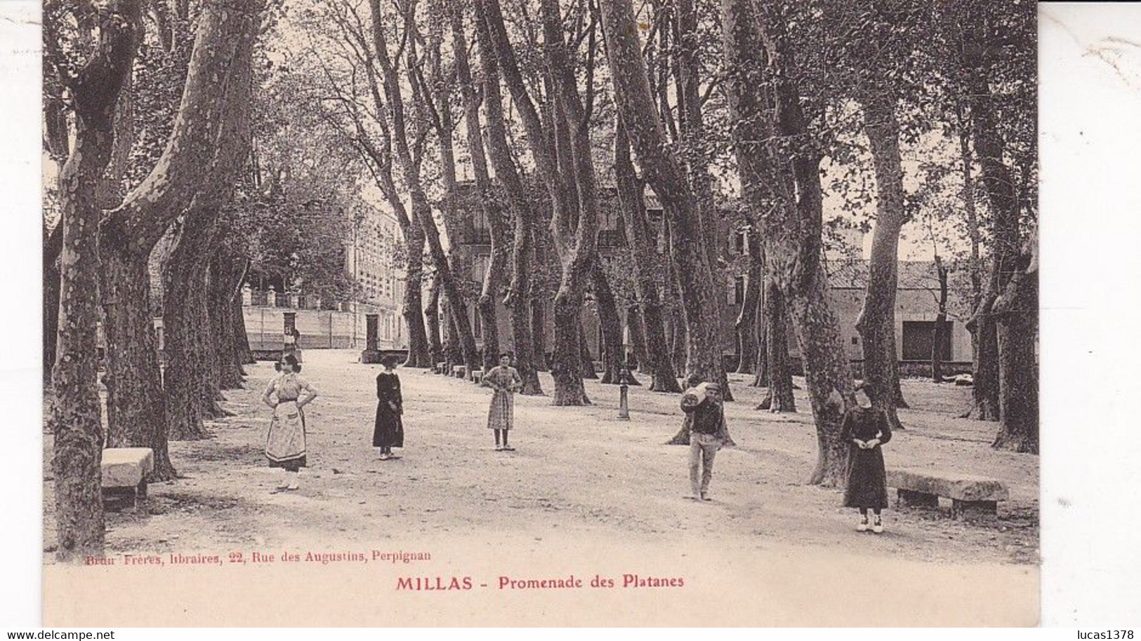 66 / MILLAS / PROMENADE DES PLATANES