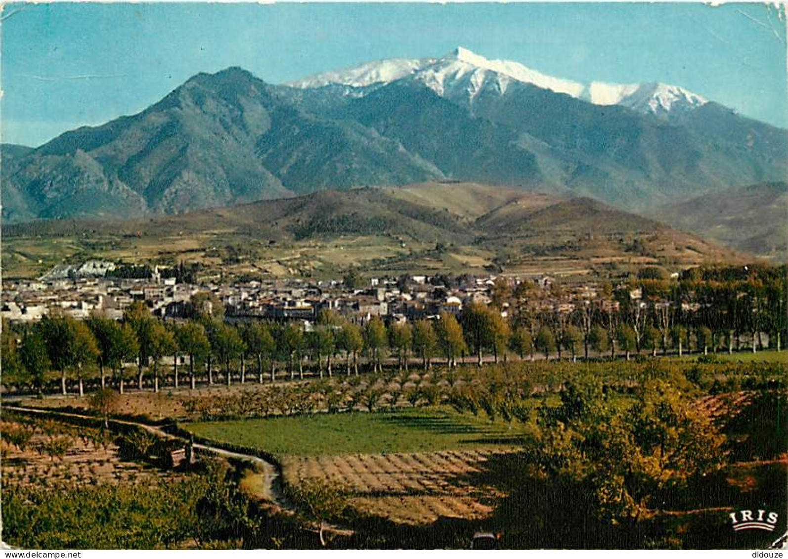 66 - Prades - Vue Générale et le Massif du Canigou - CPM - Voir Scans Recto-Verso