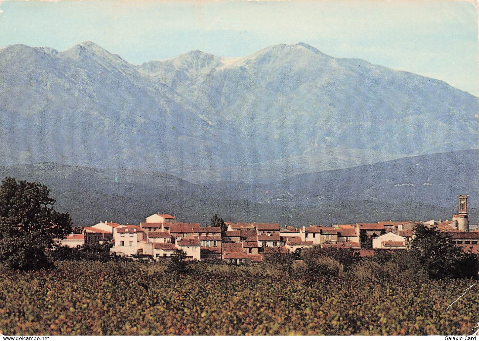 66 RIVESALTES LES VIGNOBLES DE RIVESALTES