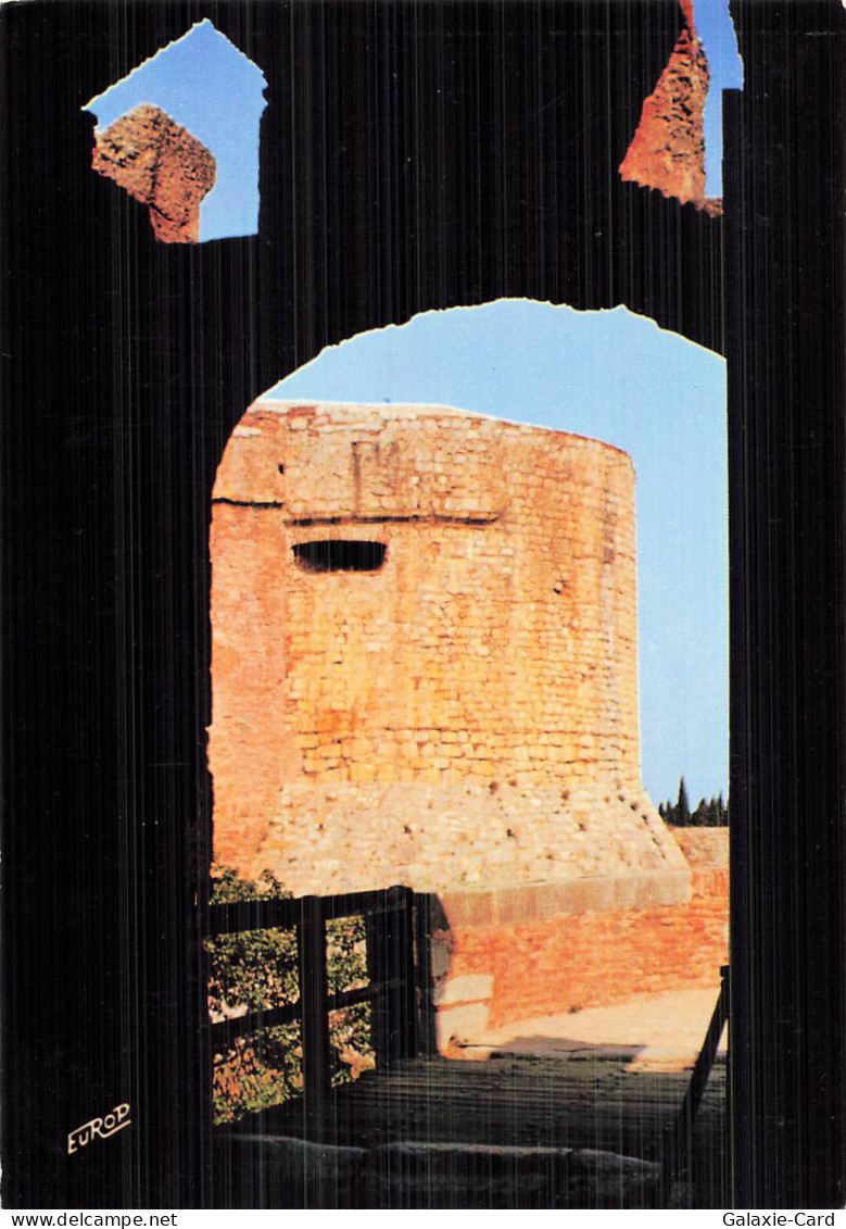 66 SALSES LE CHATEAU CHATEAU DE SALSES