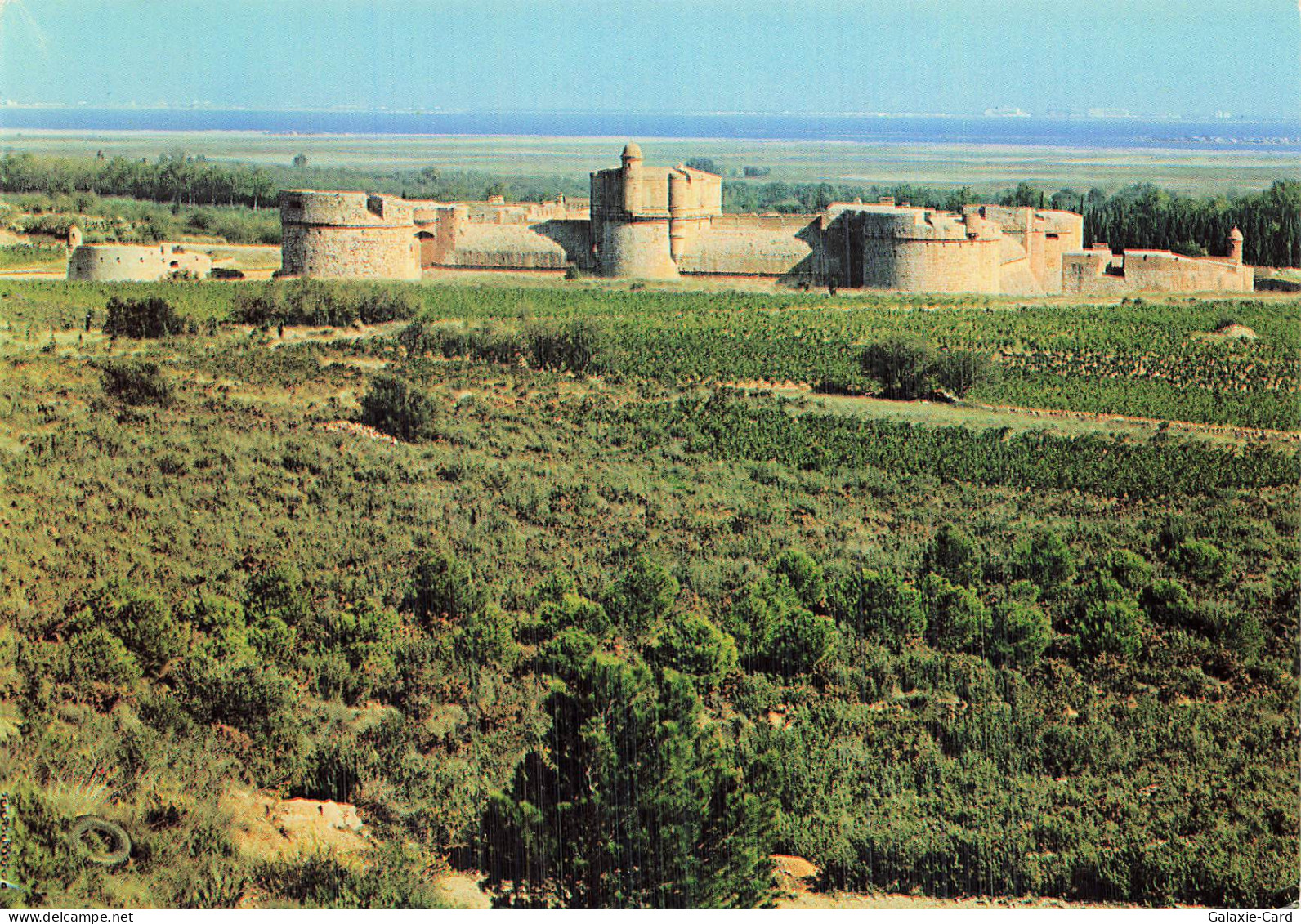 66 SALSES LE CHATEAU CHATEAU FORT DE SALSES