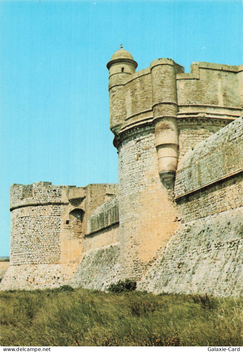 66 SALSES LE CHATEAU CHATEAU FORT DE SALSES