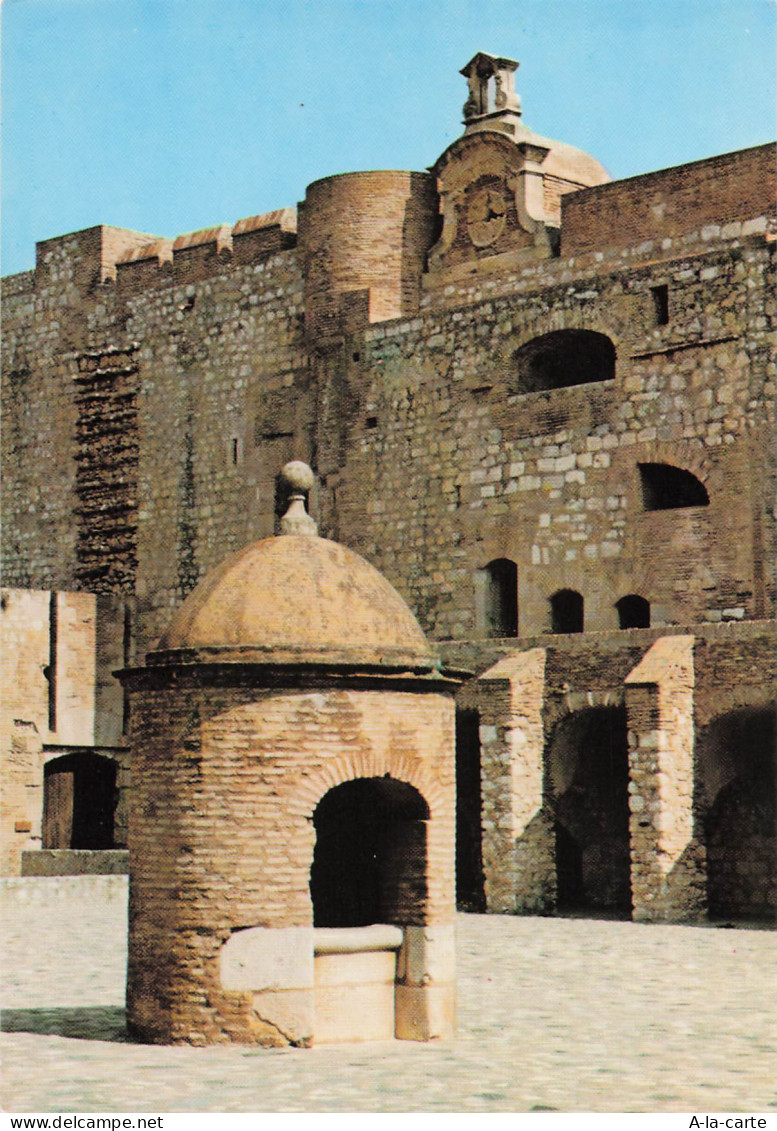 66 SALSES LE CHATEAU CHATEAU FORT DE SALSES