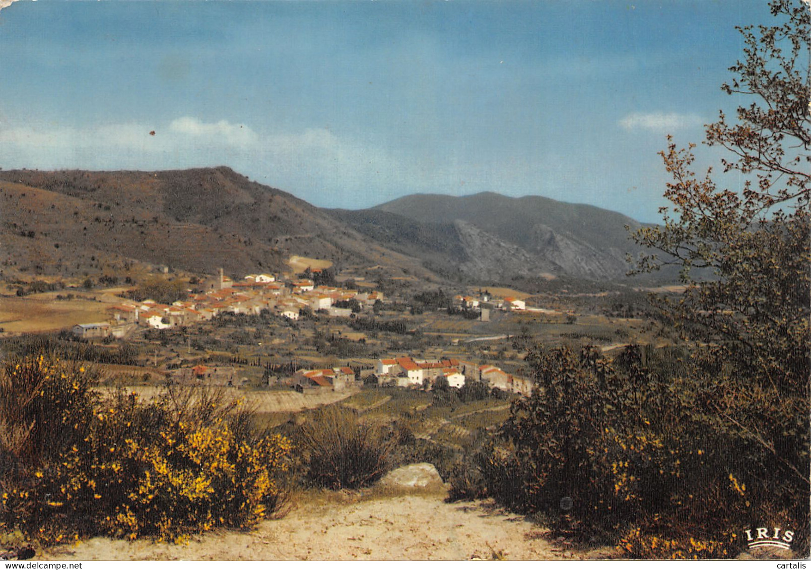 66-SOURNIA-N 592-A/0315