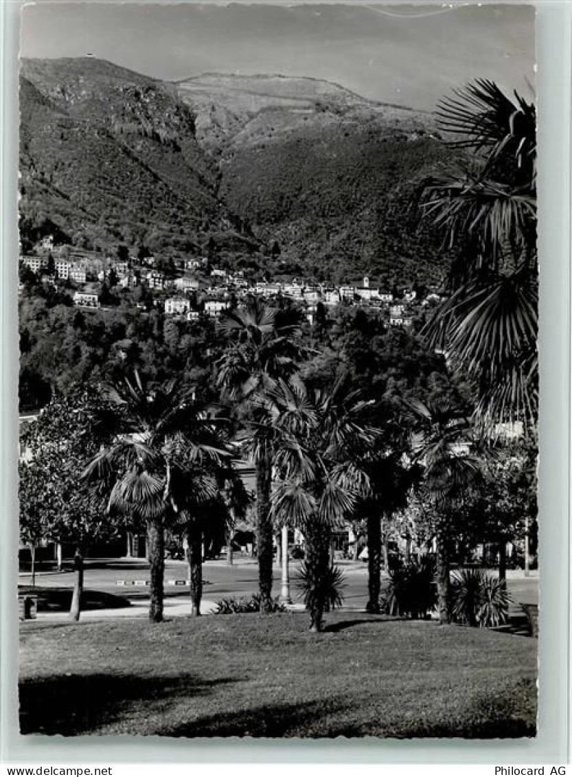 6600 Locarno - Locarno-Orselina Palmen - 11058023