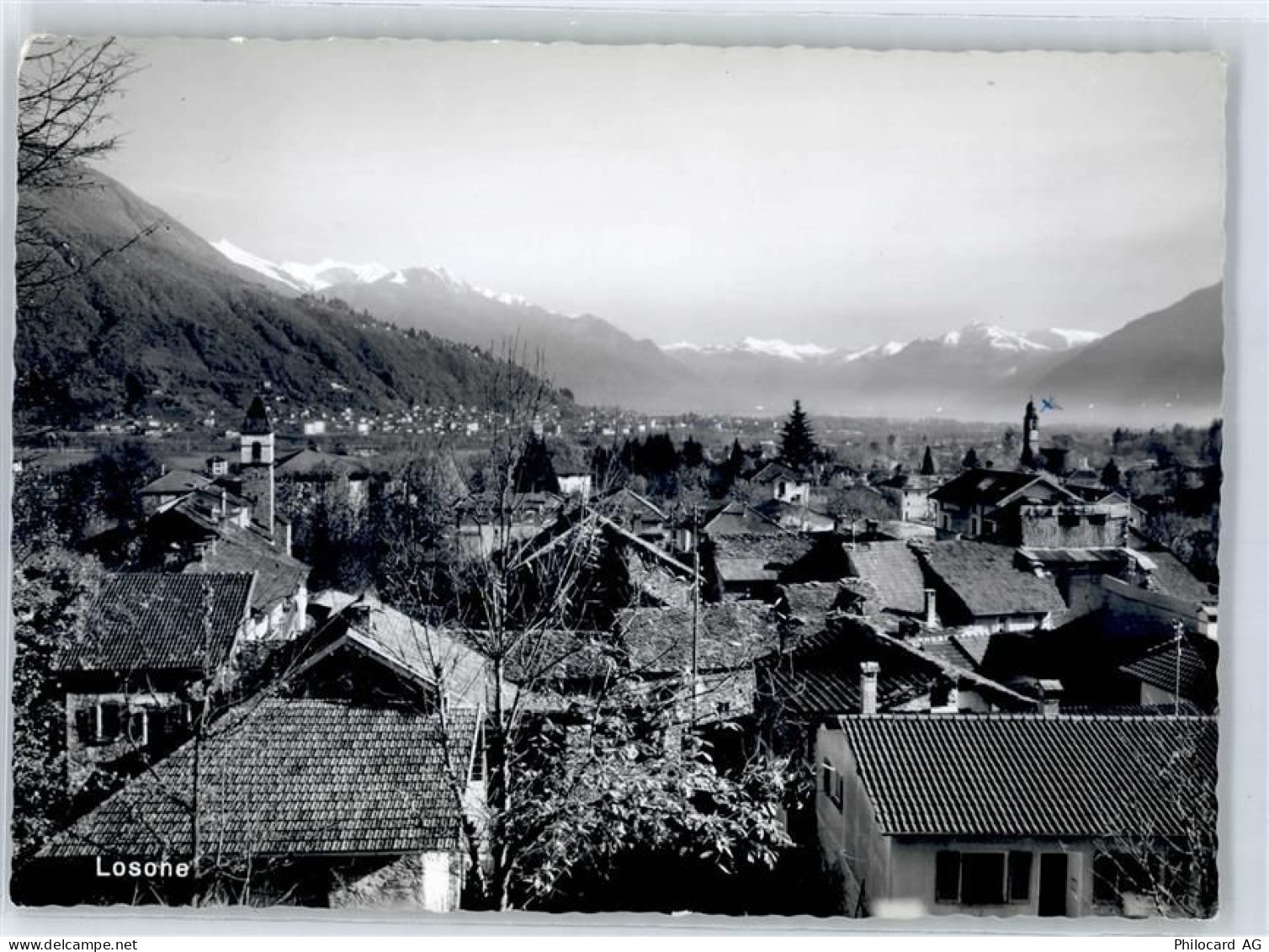 6616 Losone 1959 - 51425166