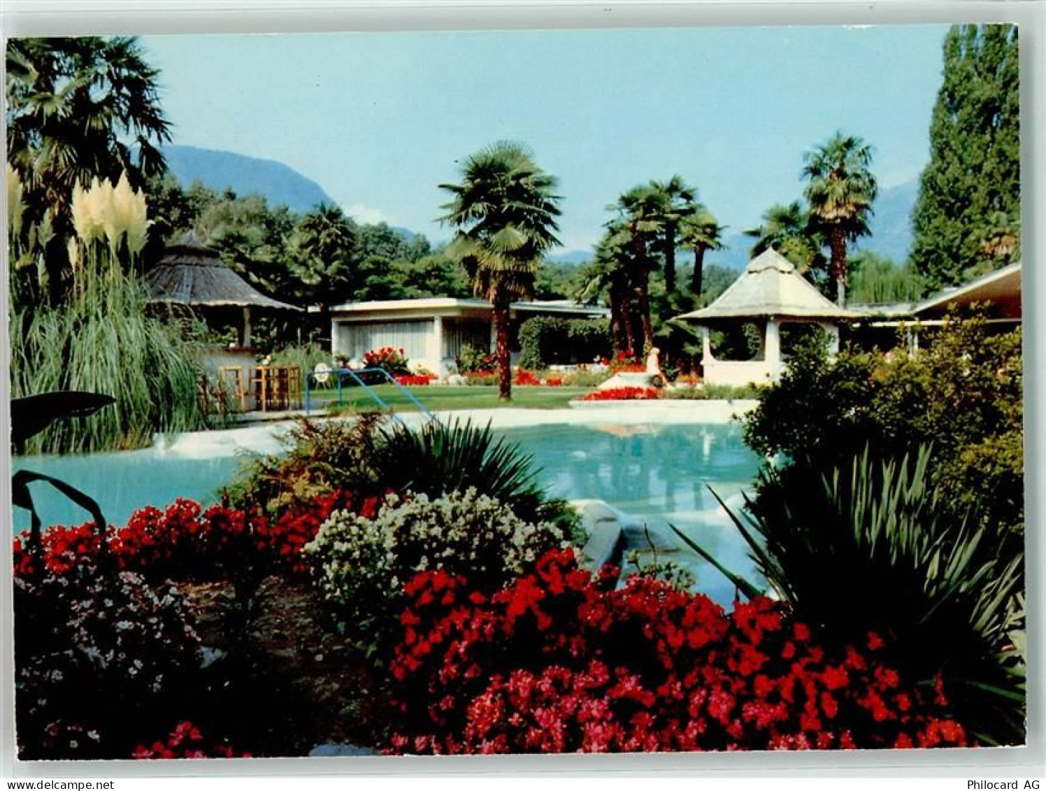 6616 Losone - Albergo Schwimmbad - 39490041