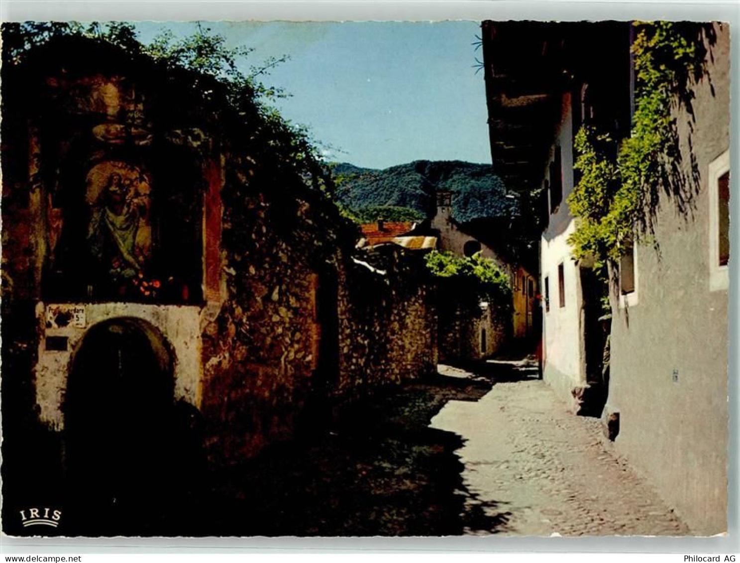 6616 Losone - Tessiner Motiv - 39494687