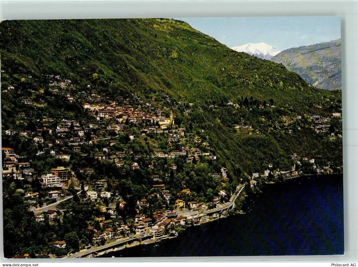6622 Ronco sopra Ascona 1984 - Porto Ronco Lago Maggiore - 10390145