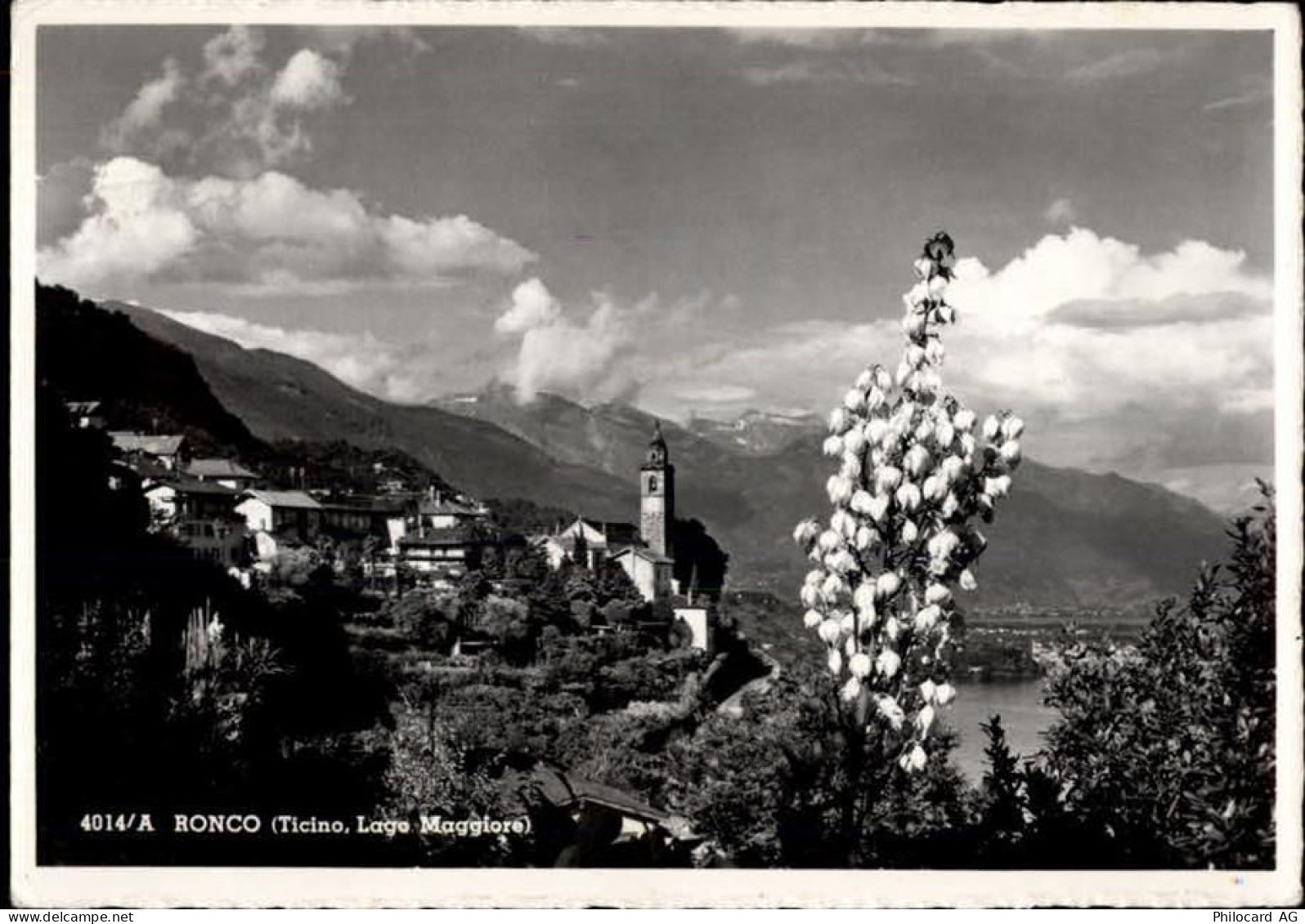 6622 Ronco sopra Ascona - 50470386