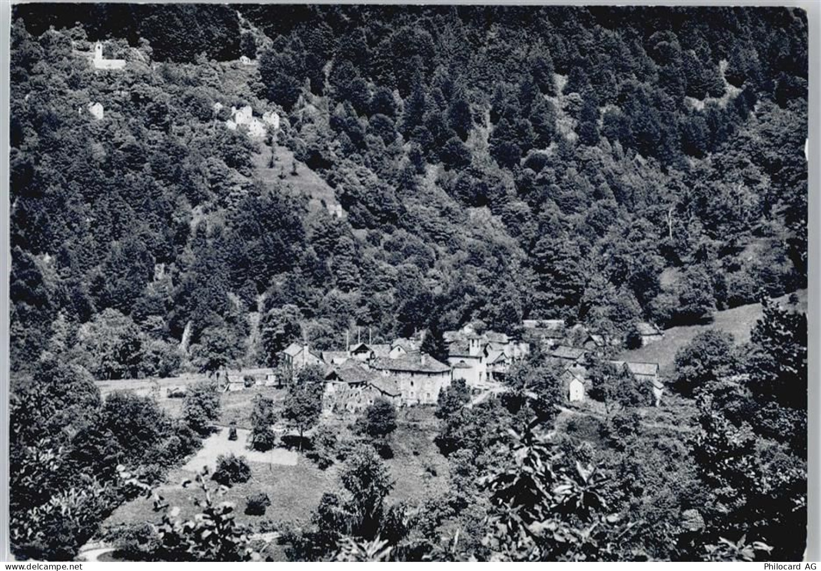 6622 Ronco sopra Ascona - Gesamtansicht - 50571614