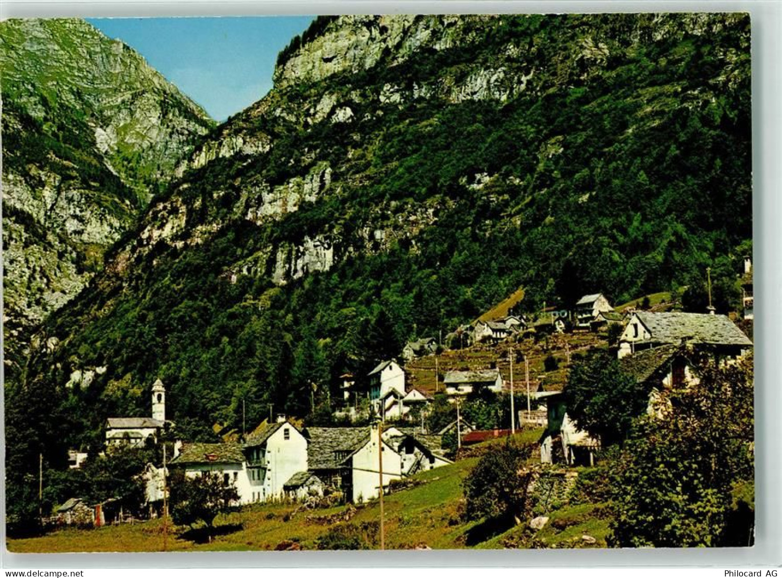 6636 Frasco - 39489115