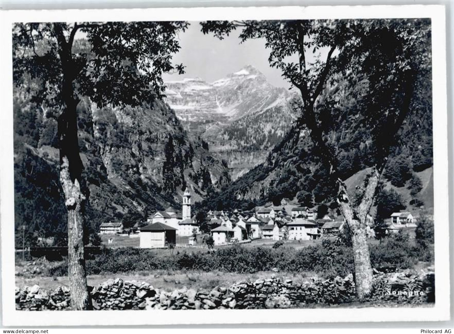 6637 Sonogno - 50699124