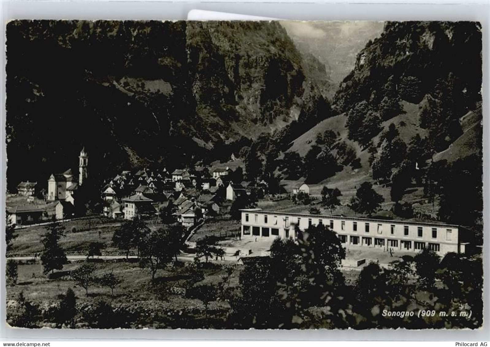 6637 Sonogno - 50699261