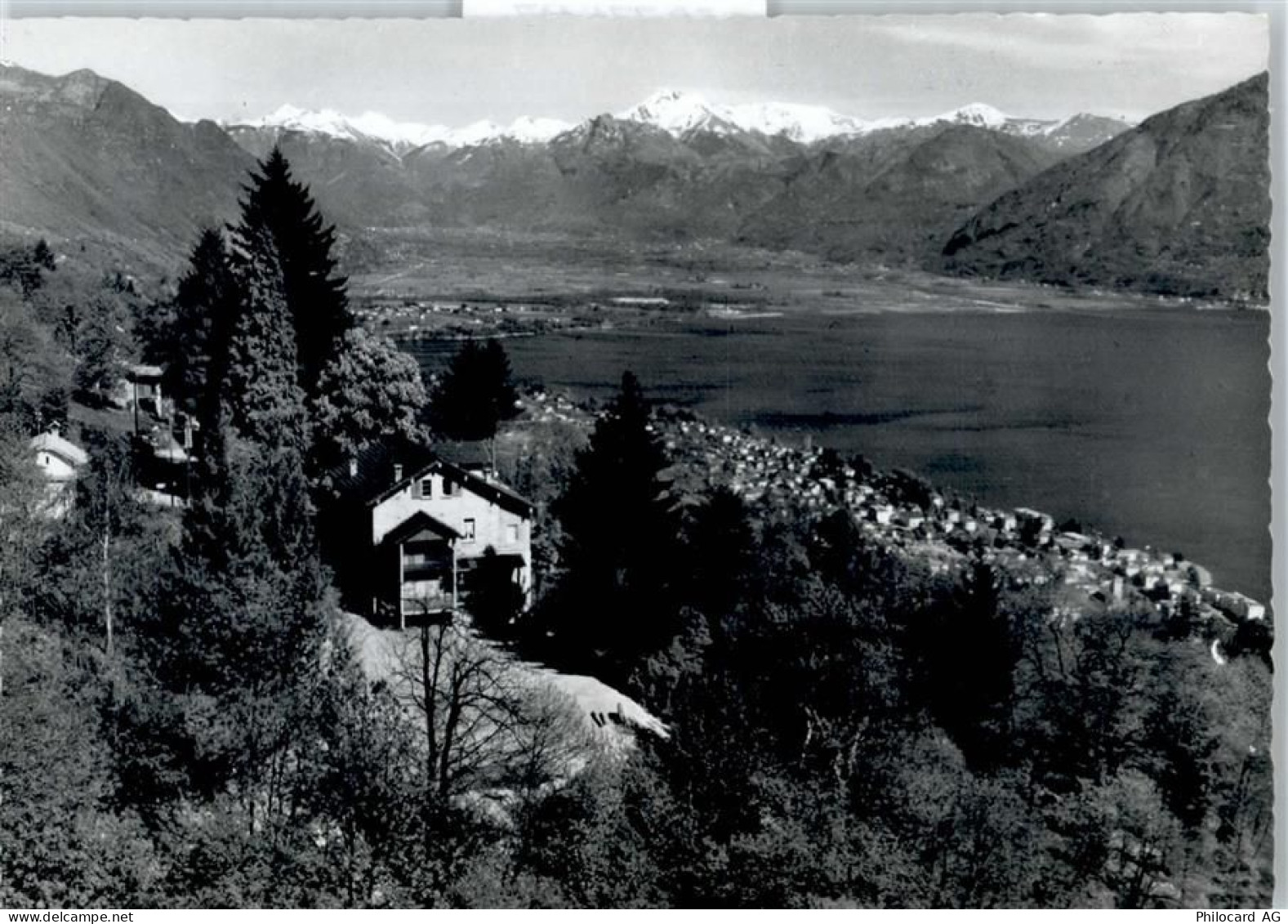 6644 Orselina - Bergheim - 50771417