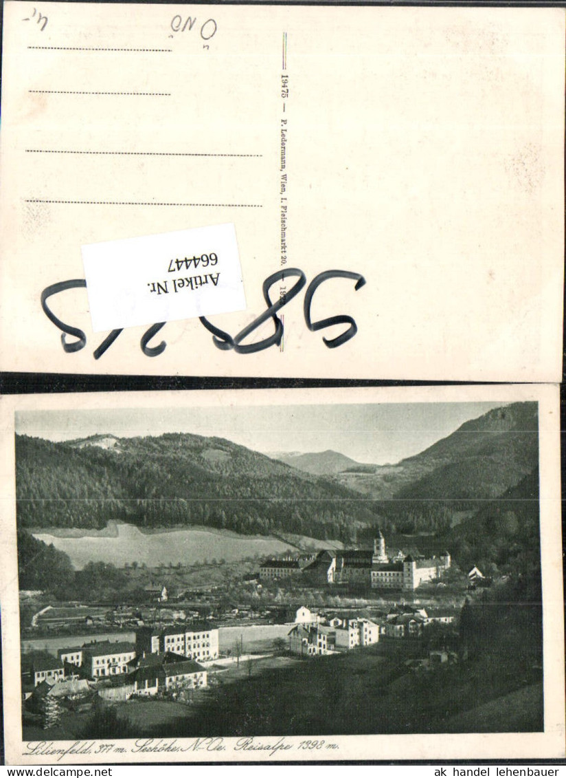 664447,Lilienfeld