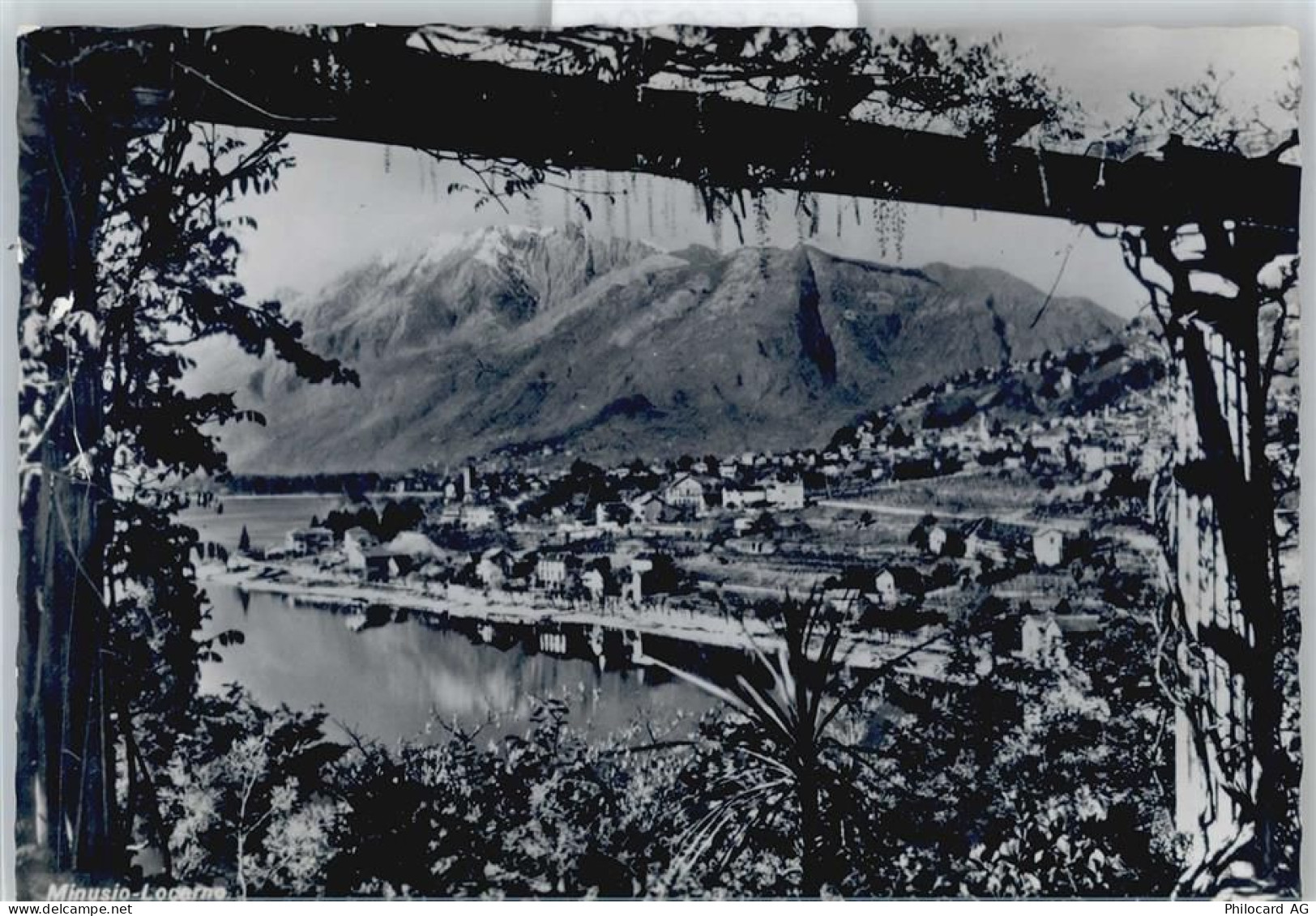 6645 Brione sopra Minusio - 50566704