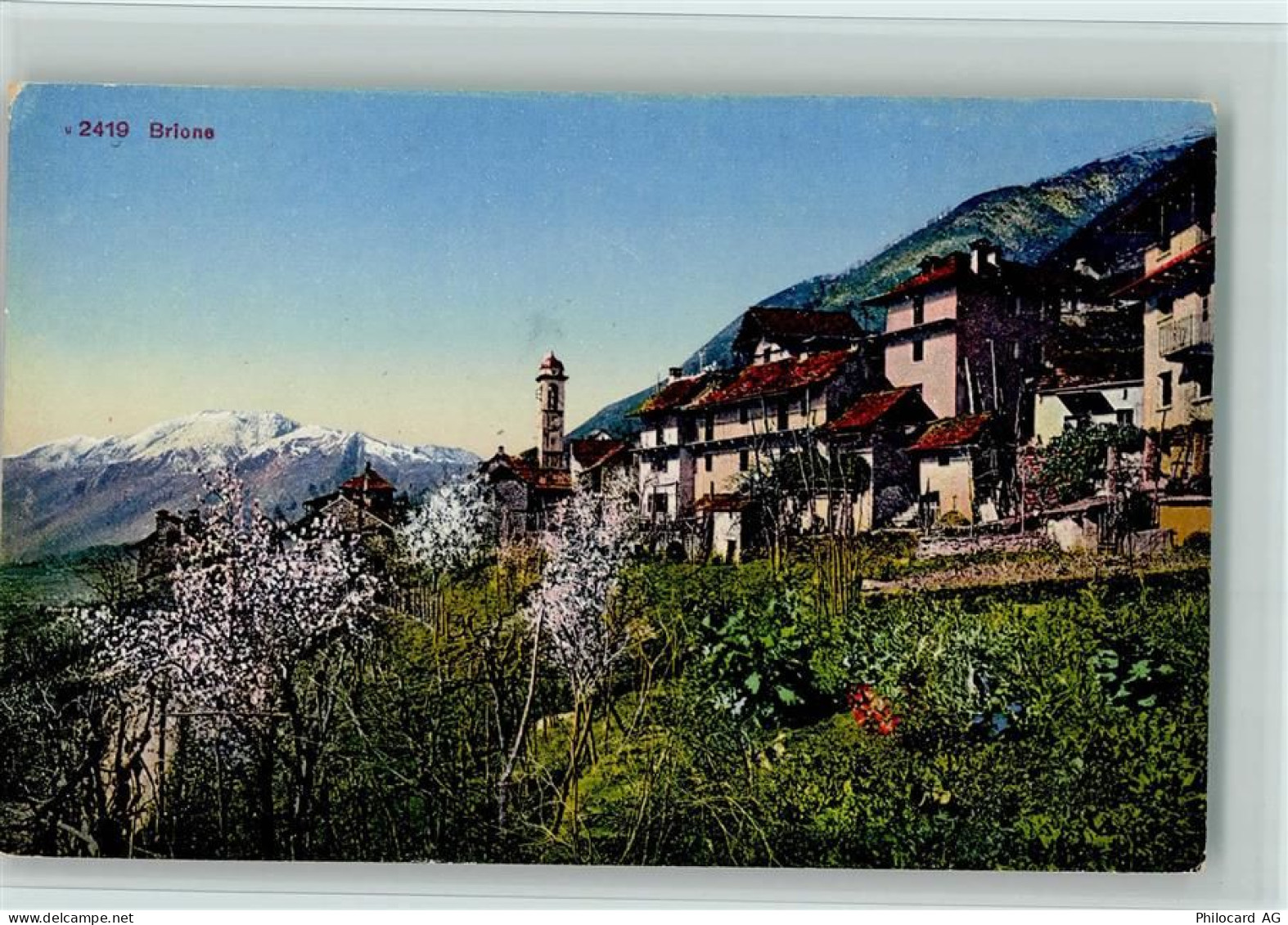 6645 Brione sopra Minusio - Blühende Bäume - 11052812