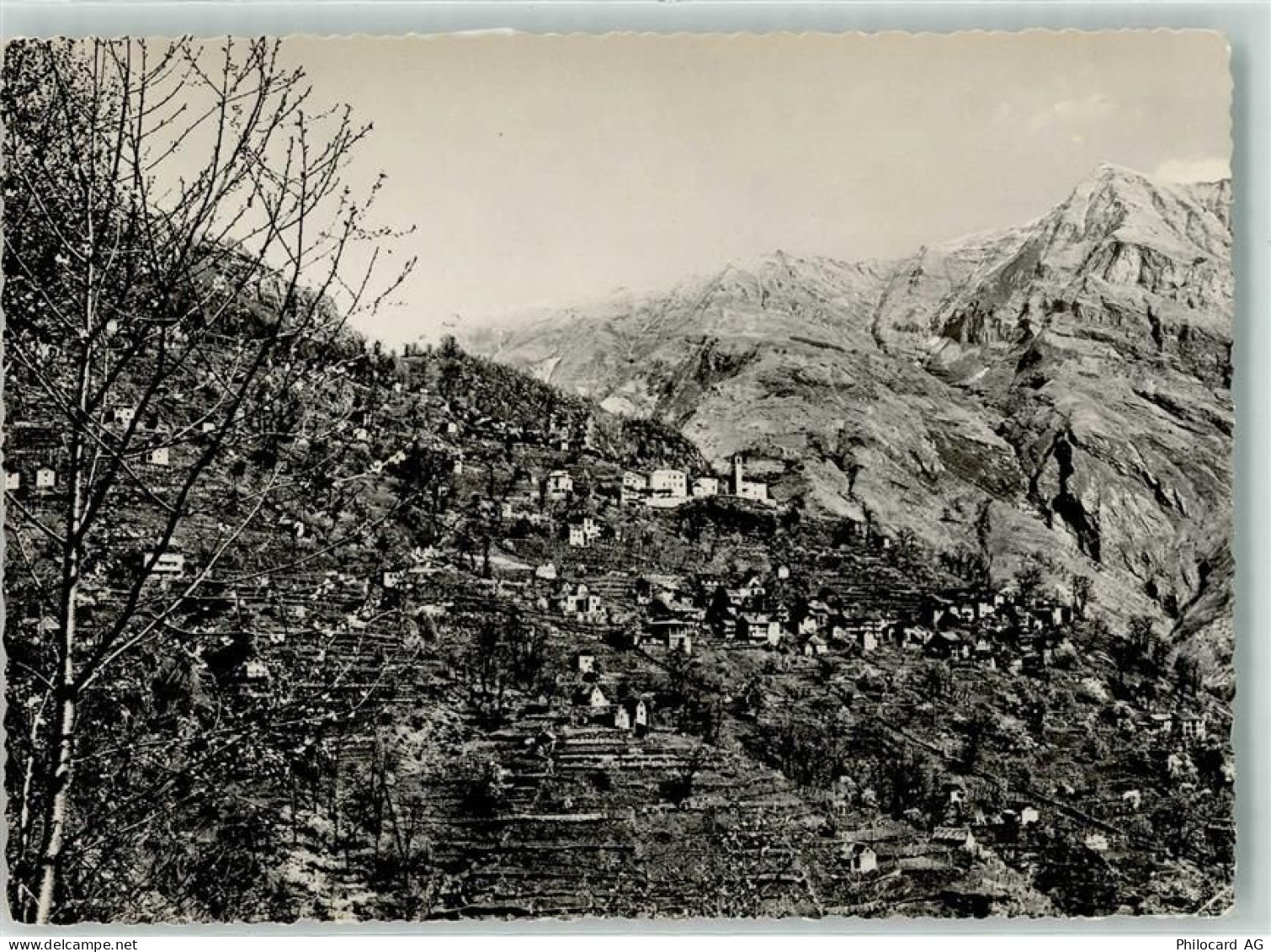 6647 Mergoscia Gebrauchsspuren Verzascatal - 39488406