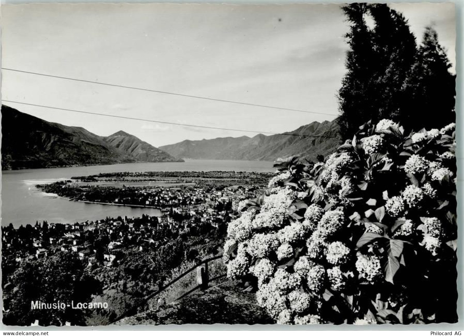 6648 Minusio - 10393826