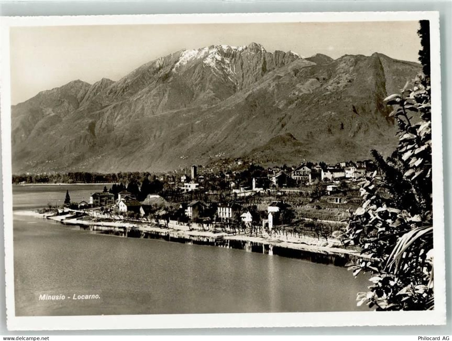 6648 Minusio - 39410037