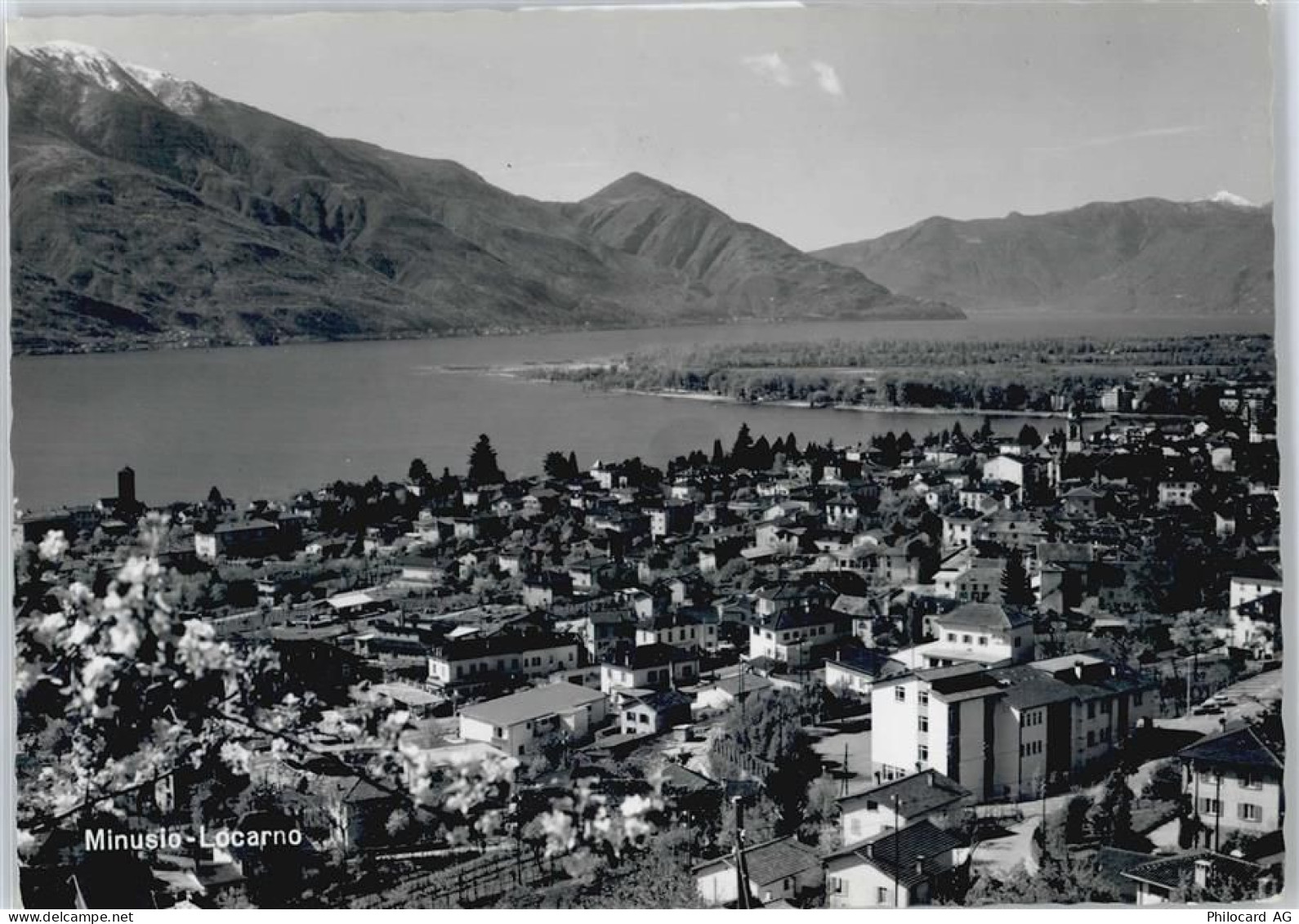 6648 Minusio - Fliegeraufnahme - 50677909