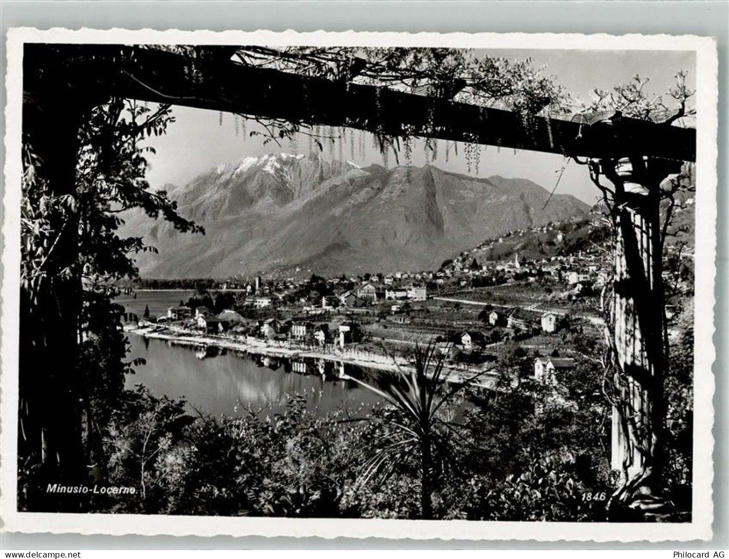 6648 Minusio Foto AK - 38217264