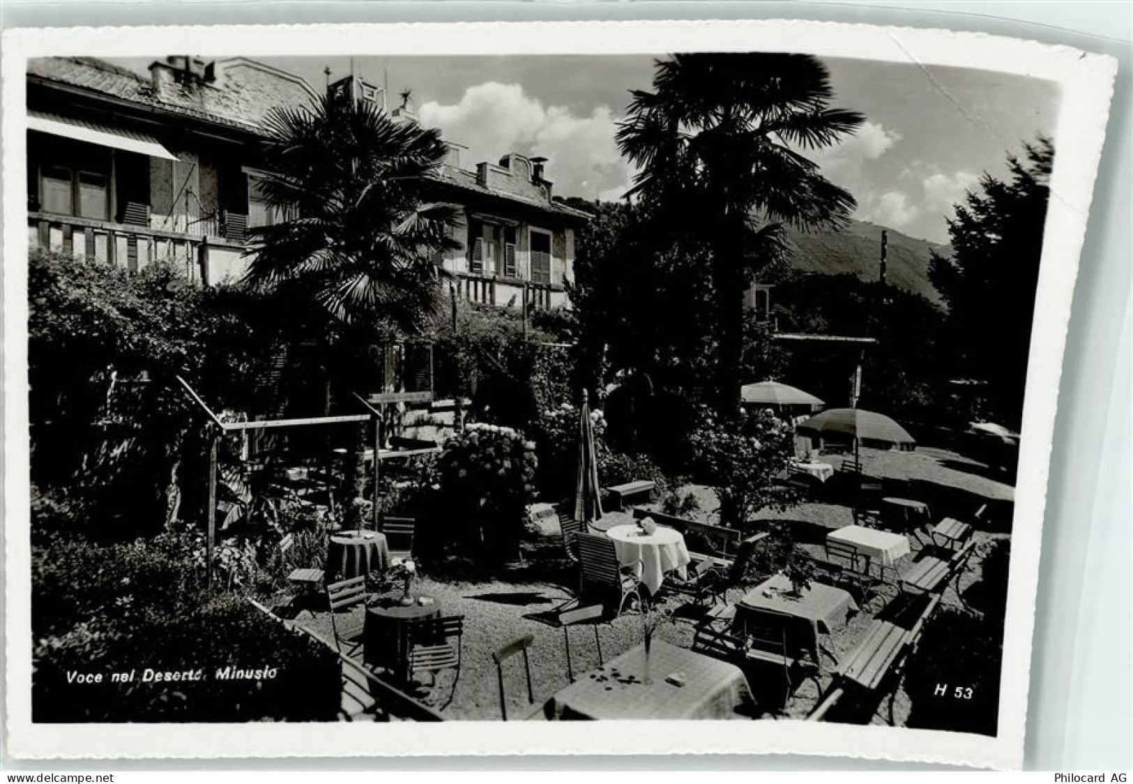 6648 Minusio Gebrauchsspuren Pension Gasthaus Voce nel Deserto - 10592011