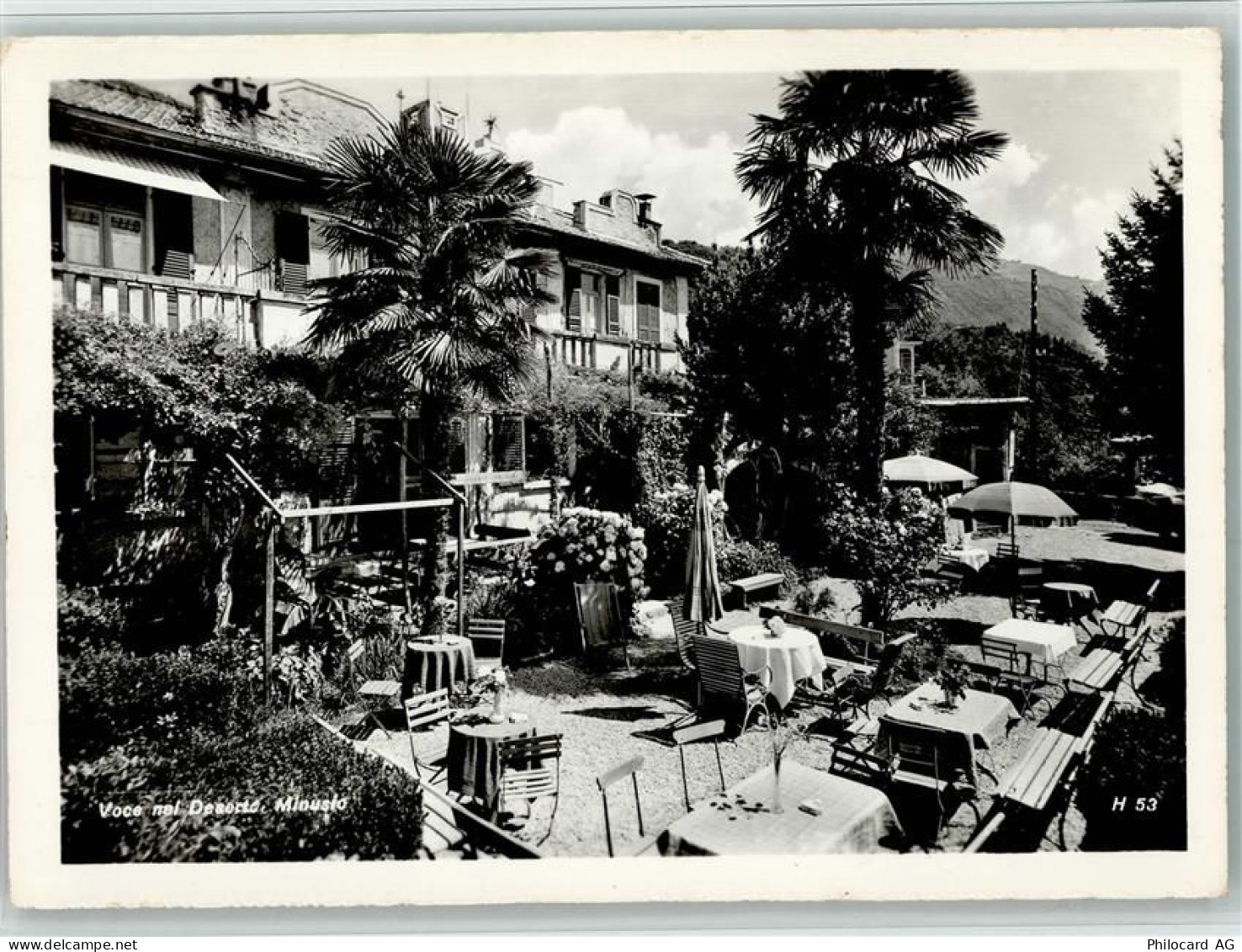 6648 Minusio - Restaurant Voce Nel Deserto Gartenterrasse - 13095519