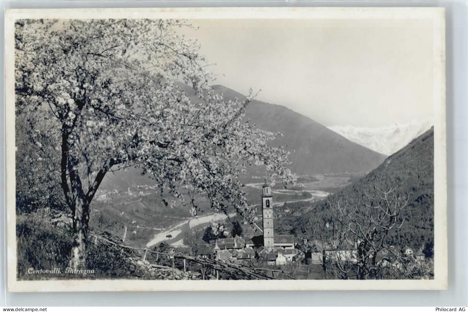 6655 Intragna Corcapolo - Gesamtansicht - 50571926