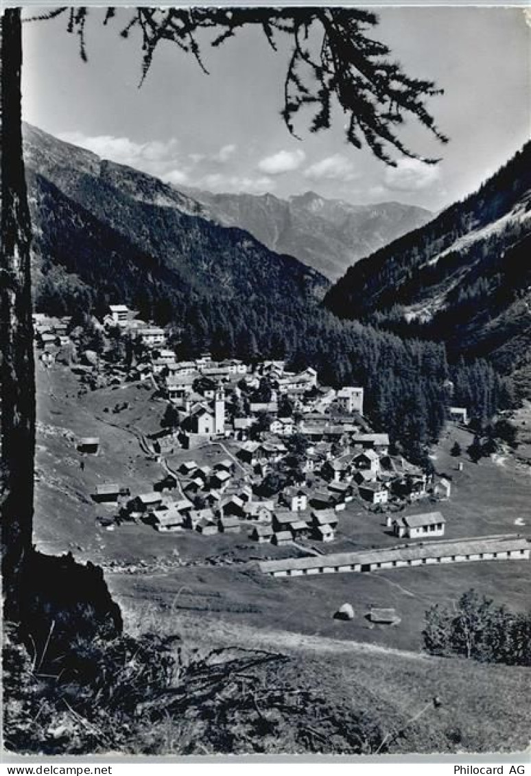 6685 Bosco/Gurin - 50413187