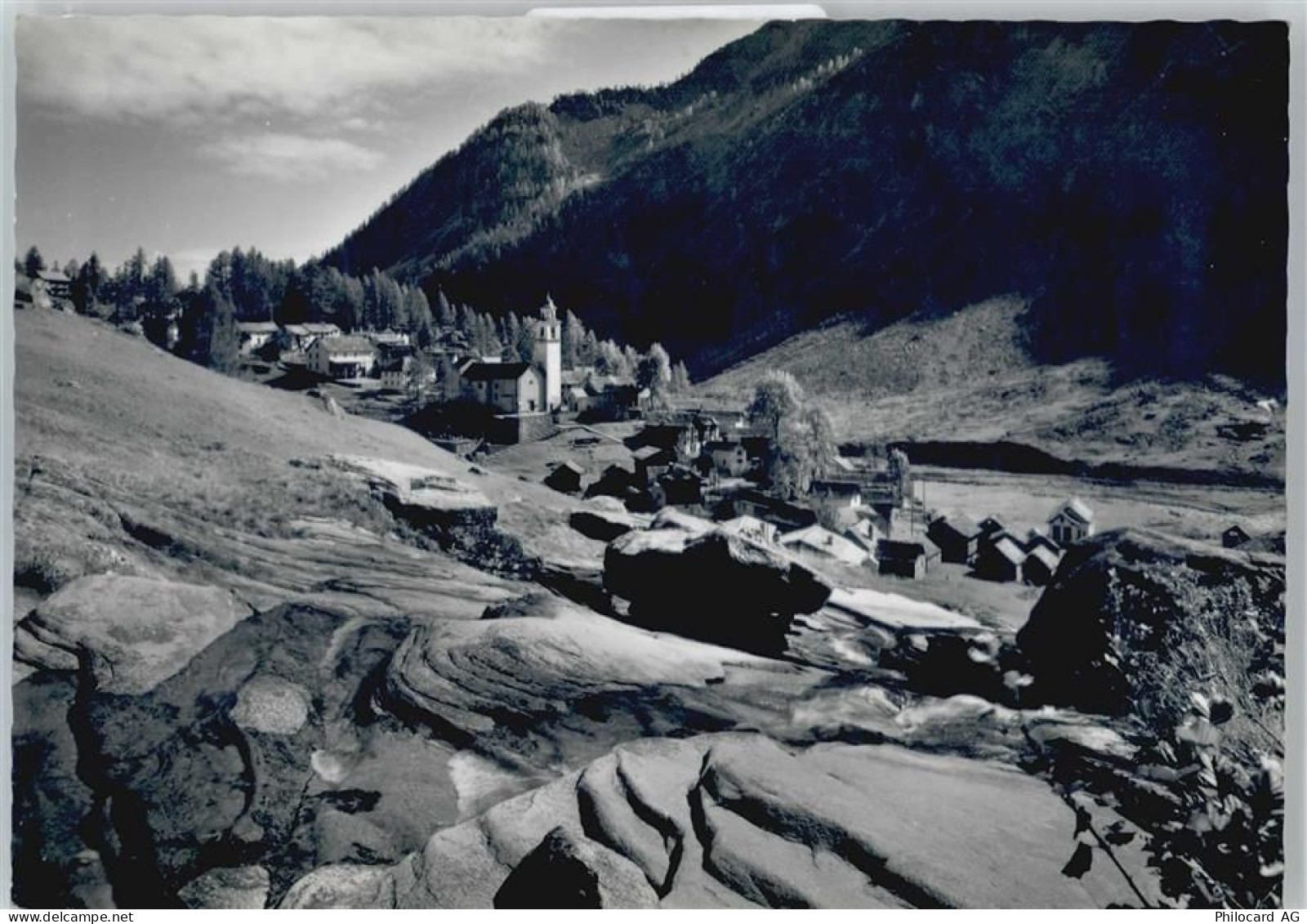 6685 Bosco/Gurin - 50566665