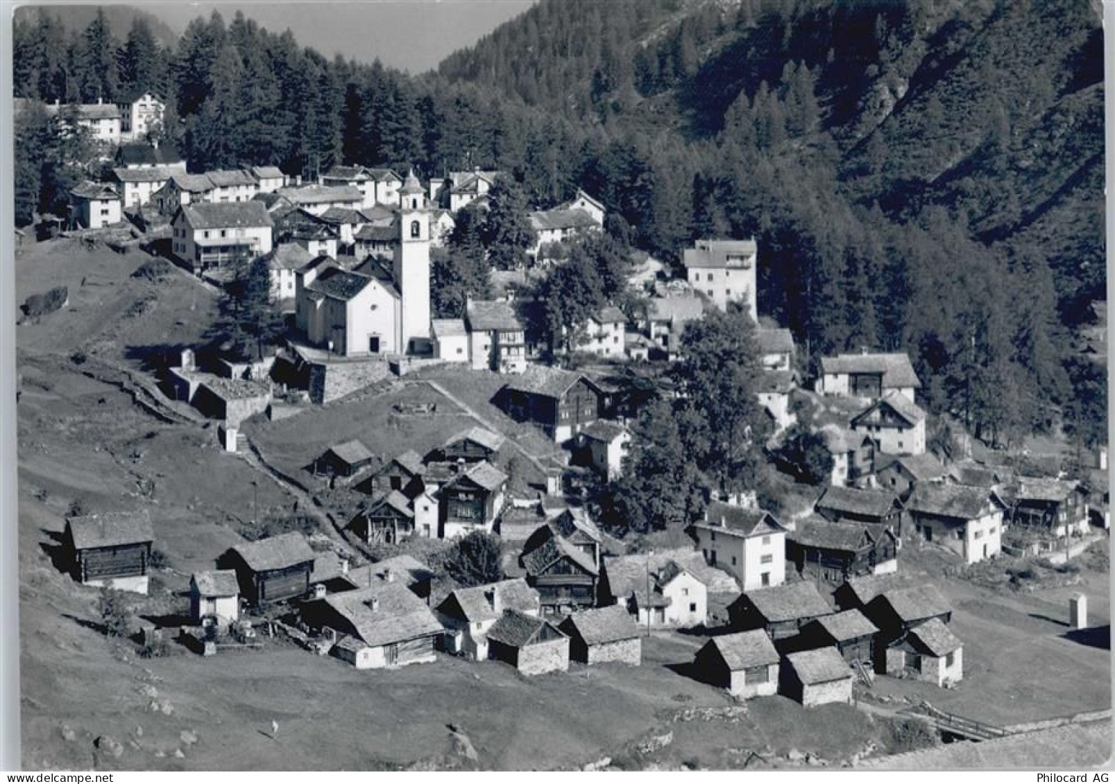 6685 Bosco/Gurin - 50566683